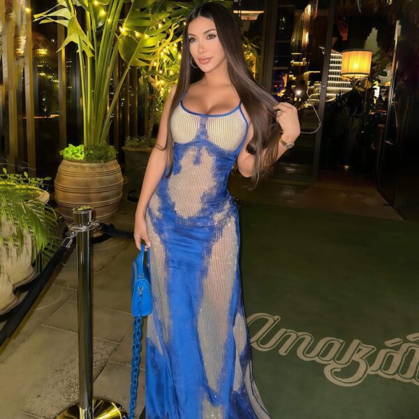 Stylish Blue & Grey Sheer Maxi Dress